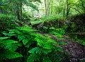 paysage 16_06_12n03